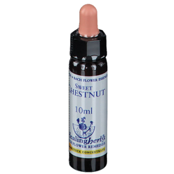 Healing Herbs Sweet Chestnut características