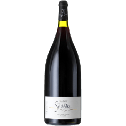 MAGNUM ROUGE 2018 - DOMAINE SAINT SYLVESTRE en oferta