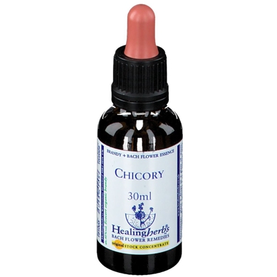 Healing Herbs Chicory