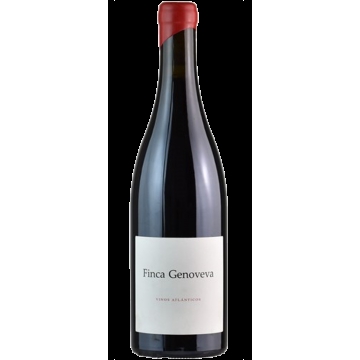 GOLIARDO FINCA GENOVEVA 2018 - BODEGA FORJAS DEL SALNES