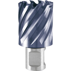 RUKO 108220F Punta a tazza 20 mm TiAIN 1 pz. en oferta