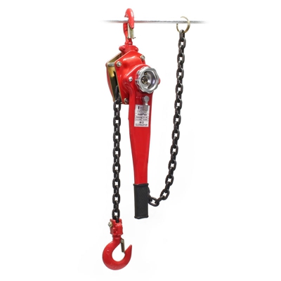 Paranco a catena da 1500kg lunghezza catena 1,5m per sollevamento carichi - WILTEC