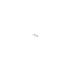 Sessola Pala Paletta Atossica Con Rinforzo Per Farina Cereali Sale Caffe 16261V Cm 38 (13273) - MARCA precio