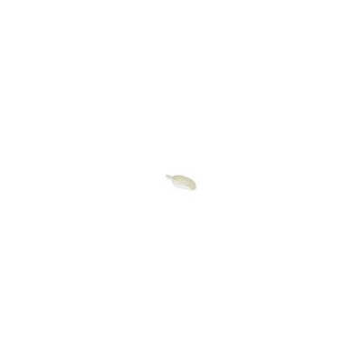 Sessola Pala Paletta Atossica Con Rinforzo Per Farina Cereali Sale Caffe 16261V Cm 38 (13273) - MARCA