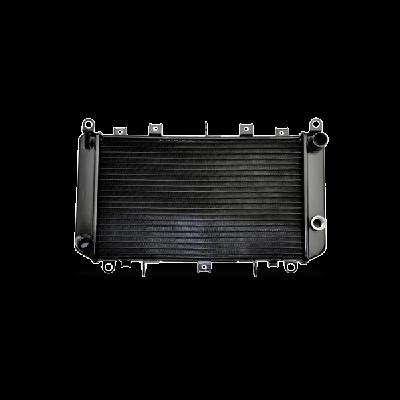VAN WEZEL Radiatore PEUGEOT,CITROËN 40002267 1330F5,1330S8 Radiatore Raffreddamento Motore,Radiatore, Raffreddamento motore