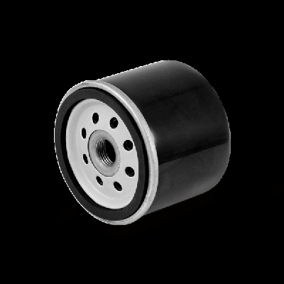 FILTRON Filtro Olio SSANGYONG OE 610/1 6711803009,6711840125,6721803009