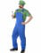 Costume da idraulico verde da uomo características