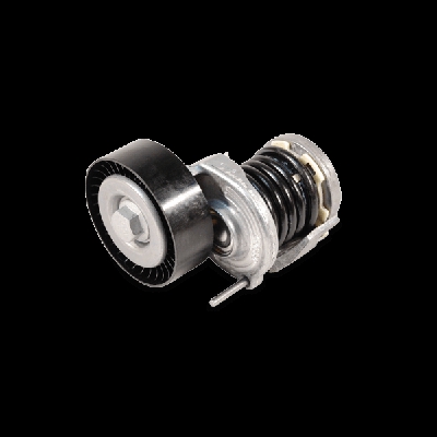 INA Braccio tenditore, Cinghia Poly-V VW,AUDI,SKODA 534 0123 20 030145299C,030145299F,030145299C  030145299F,030145299C,030145299F,030145299C