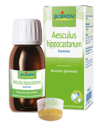 AESCULUS HIPPOCASTANUM MACERATO GLICERICO 60 ML INT características