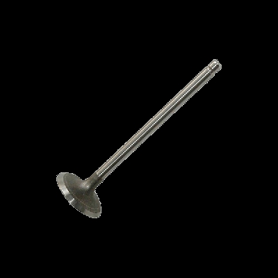 TRW Engine Component Valvola Aspirazione SMART 261104 1600530001,A1600530001,1600530001