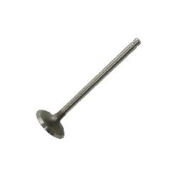 AE Valvola Aspirazione FORD,FIAT,ALFA ROMEO V98022 55194219,55194219,55194219  55200334,55219143,55194219,55194219 características