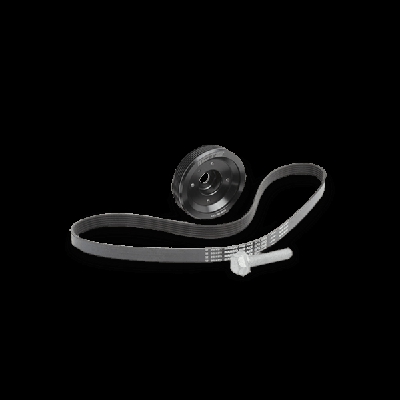 CORTECO Kit pulegge, Albero motore/a gomito VW,AUDI,FORD 80004922 03G105243,03G105243C,1315782  3M216B320AA,03G105243,03G105243C,03G105243,03G105243C