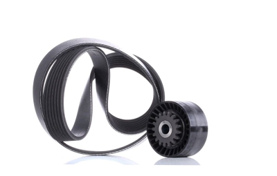 INA Kit Cinghie Poly-V 529 0016 10  RENAULT,Clio III Hatchback (BR0/1, CR0/1),MODUS / GRAND MODUS (F/JP0_),TWINGO II (CN0_),Clio IV Grandtour (KH_)