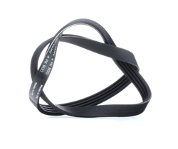 SKF Cinghia Poly-V FIAT,TOYOTA,NISSAN VKMV 4PK800 71742126,31110P2A003,31110P2A004  31110P3RT01,9091602703,117202F000,117202F005,1752161A00,1752161A00 en oferta