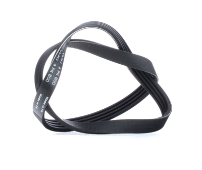 SKF Cinghia Poly-V FIAT,TOYOTA,NISSAN VKMV 4PK800 71742126,31110P2A003,31110P2A004  31110P3RT01,9091602703,117202F000,117202F005,1752161A00,1752161A00