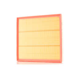 MANN-FILTER Filtro Aria FORD C 34 005/1 2011999,2320832 características