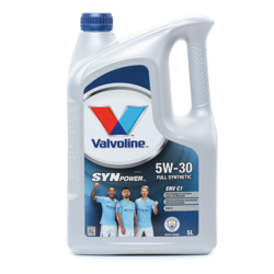 Valvoline Olio motore 872592 características