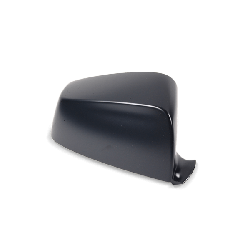 VAN WEZEL Copertura, Specchio esterno AUDI 0325841 8E0857507B,8E0857507BGRU características