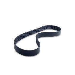 FEBI BILSTEIN Cinghia Poly-V MERCEDES-BENZ,FORD,RENAULT 28942 68004881AA,68004881AA,1011616  1079383,6180854,6180855,6606513,6613362,6613363,7064725 características