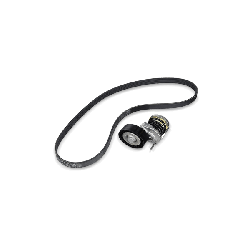 JP GROUP Kit Cinghie Poly-V VW,SKODA,SEAT 1118110110 030145299,030145299C,030145299F  030145299,030145299C,030145299F,030145299,030145299C,030145299F características