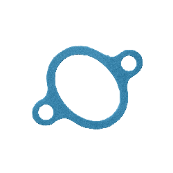 TOPRAN Guarnizioni 115 981 Guarnizione, Alloggiam. termostato VW,SKODA,SEAT,POLO (9N_),Polo Hatchback (6R1, 6C1),Fabia II Hatchback (542) en oferta