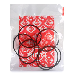 ELRING Kit guarnizioni, Collettore aspirazione BMW 537.890 11617547242 en oferta