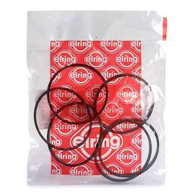 ELRING Kit guarnizioni, Collettore aspirazione BMW 537.890 11617547242