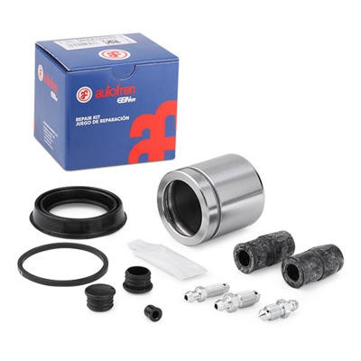 AUTOFREN SEINSA Kit Revisione Pinze Freno D42100C Kit riparazione, Pinza freno VW,AUDI,BMW,Golf V Hatchback (1K1),GOLF VI (5K1)