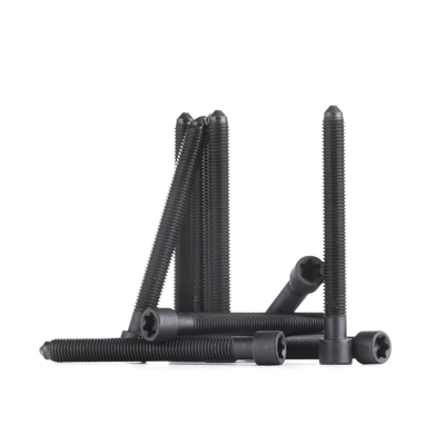 ELRING Kit Bulloni Testata VW,AUDI 104.930