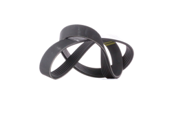 BOSCH Cinghia Poly-V BMW,FIAT,HONDA 1 987 946 020 11287603348,46462950,46770217  71719396,7780556,7780557,38920PLR003,38920PLR004,46462950,46770217 precio