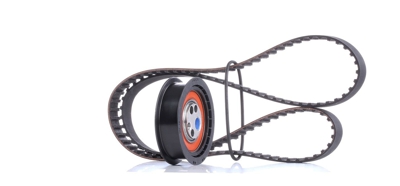 SKF Kit Cinghia Distribuzione AUDI VKMA 01001 037109119C,048109243A,037109119C Kit Cinghie Dentate 048109243A