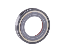 SASIC Guarnizioni PEUGEOT,CITROËN 1213243 312124,312124 Anello tenuta, Differenziale características