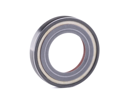 SASIC Guarnizioni PEUGEOT,CITROËN 1213243 312124,312124 Anello tenuta, Differenziale