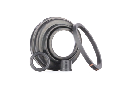 AUTOFREN SEINSA Kit Revisione Pinze Freno RENAULT,FIAT,LANCIA D4052 7701200592 Kit riparazione, Pinza freno