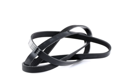 FEBI BILSTEIN Cinghia Poly-V MERCEDES-BENZ,RENAULT,DACIA 28885 8200833541,0139971592,0149973392  A0139971592,A0149973392,7700111671,8200833541 características