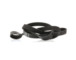 FEBI BILSTEIN Cinghia Poly-V VW,RENAULT,CITROËN 28970 5750WP,5750XR,7700722704  074145933C,074145933P,74145933C,74145933P precio