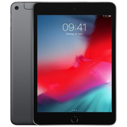 iPad Mini 5 256 GB 7.9'' Wi-Fi Grigio Siderale características