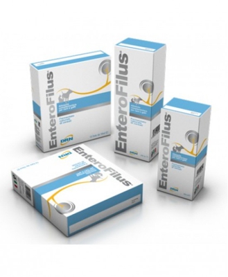 Drn Enterofilus 12 Fiale Da 100ml