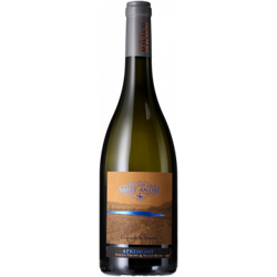 APREMONT LE CLOS SAINT ANDRE 2019 - DOMAINE PHILIPPE & SYLVAIN RAVIER características