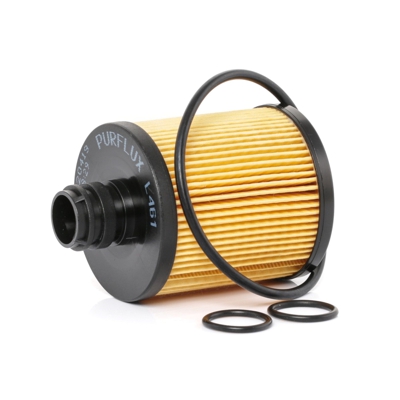 PURFLUX Filtro Olio L461  OPEL,FIAT,SUZUKI,COMBO Cassone / Furgonato / Promiscuo (X12),Combo Combi / Tour (X12),BRAVO II (198),PUNTO EVO (199)