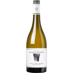 PICPOUL DE PINET 2019 - VILLA BLANCHE - CALMEL & JOSEPH en oferta
