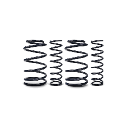 EIBACH Kit autotelaio, Molleggio E10-55-019-03-22  FIAT,MAZDA,ABARTH,124 Spider (348_),MX-5 IV (ND),MX-5 RF Targa (ND),124 Spider (348_) precio