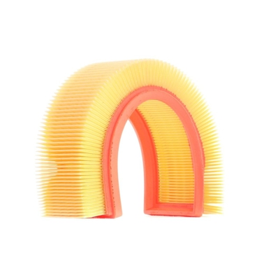 RIDEX Filtro Aria 8A0285  PEUGEOT,CITROËN,206 2 volumi /Coda spiovente (2A/C),307 (3A/C),307 SW (3H),206 SW (2E/K),307 Break (3E),C4 I (LC_)