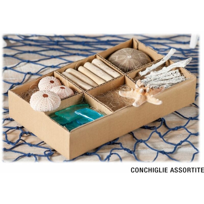 CONCHIGLIE DECORATIVE CM.29X17X6h IN CONF. - BIGHOUSE IT