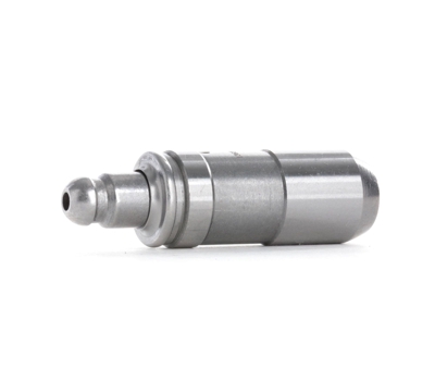 RIDEX Punterie 1216R0060 Punterie Idrauliche,Punteria HYUNDAI,KIA,MITSUBISHI,SANTA FÉ I (SM),TERRACAN (HP),TRAJET (FO),H-1 / Starex MPV (A1)