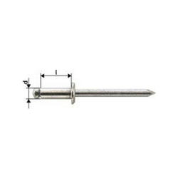 Rivetto Cieco In Acciaio Inox A2 Semiovale Testa 3,2X6Mm Gesipa (A 1000) características