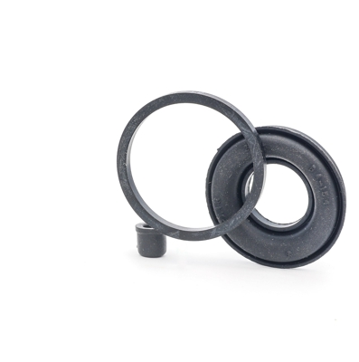 AUTOFREN SEINSA Kit Revisione Pinze Freno D4055 Kit riparazione, Pinza freno RENAULT,8 (113_),10 (119_)