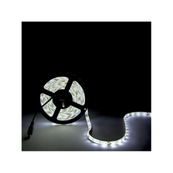 Striscia Led 300 X SMD5630 12VDC CA-PL219010-CW x 5M | Bianco Caldo (CA-PL219010-CW) - GREENICE en oferta