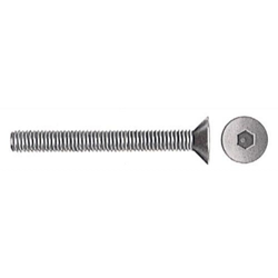 Viti T.S.P. Brunite Esag. Inc. 6X30 - POZZI FERRAMENTA características