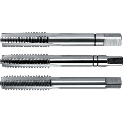 D352 Hss Maschio M 4 Satz Fortis